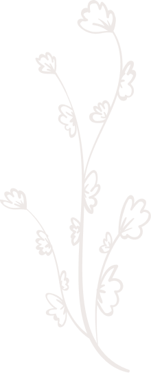 unnamed image